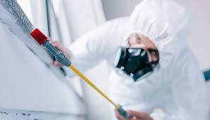 Best Commercial Pest Control  in Jeanerette, LA